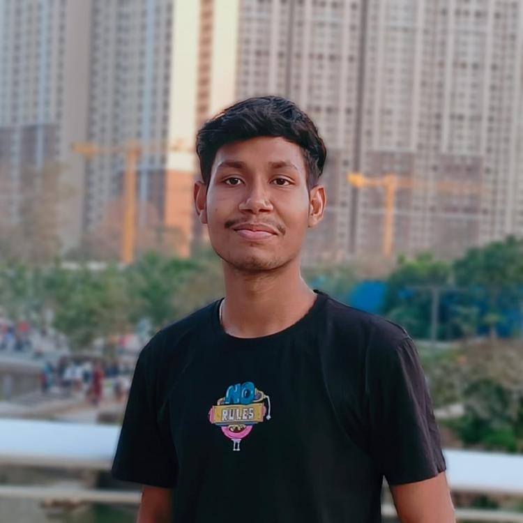 Pravanshu Maji picture